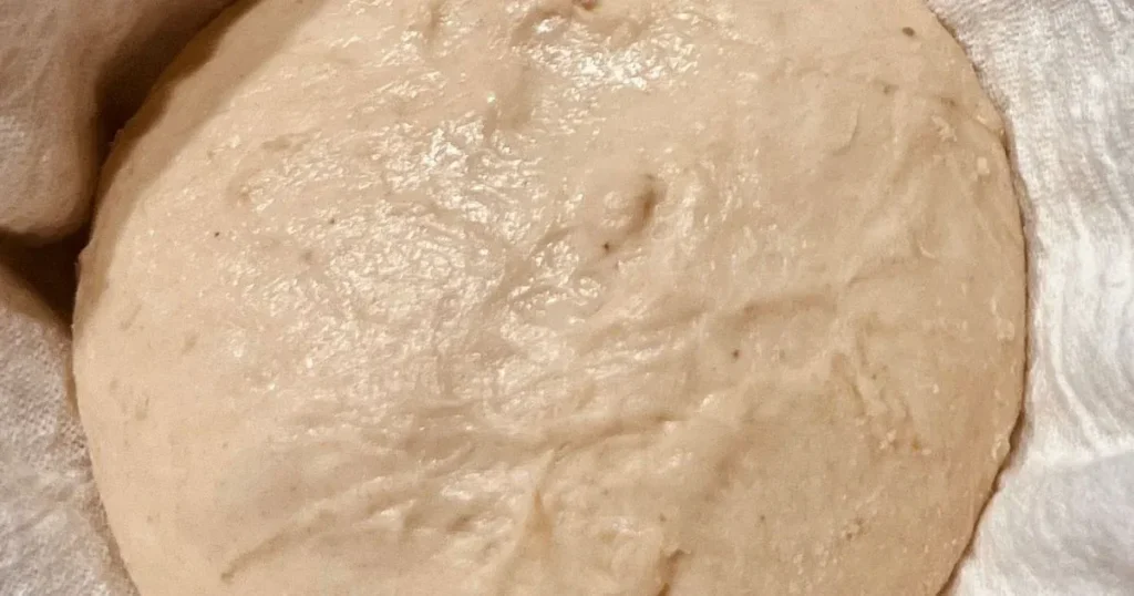 Why Is My Pizza Dough Too Chewy? 8 Causes & How to Fix It 4 over kneaded pizza dough
