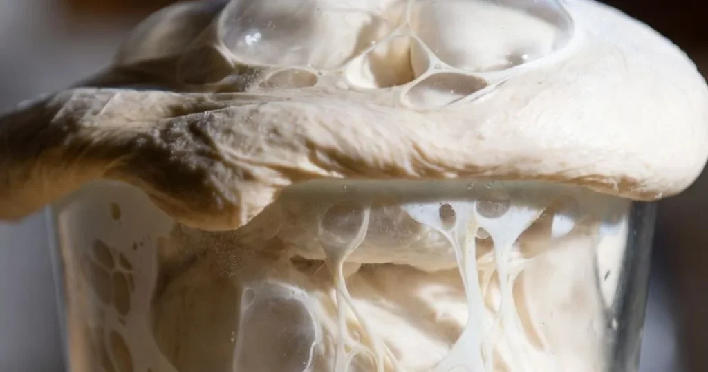 Overproofed Pizza Dough: Signs, Causes & How to Fix It 5 what happens to overproofed pizza dough