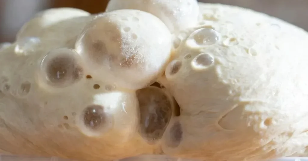 Overproofed Pizza Dough: Signs, Causes & How to Fix It 2 why is my pizza dough overproofed